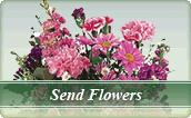Send Flowers